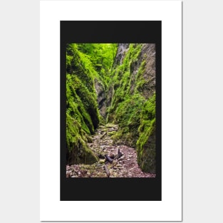 A beautiful view of a narrow wild canyon Posters and Art